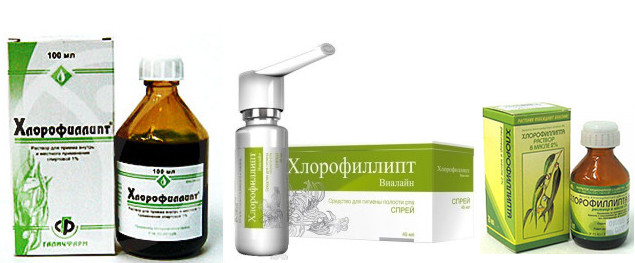 Хлорофиллипт в домашних условиях 75 Хлорофиллипт в домашних условиях 179
