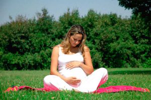 Лечебные свойства боровой матки обусловлены содержанием фитогормонов, они нормализуют уровень фитопрогестерона в женском организме, что повышает шансы успешного зачатия и вынашивания