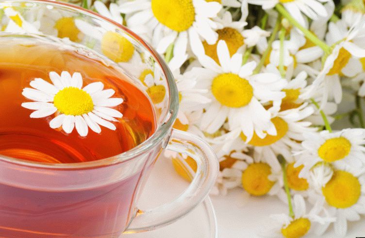 Чай из ромашки - один из наиболее известных рецептов при простудных заболеваниях