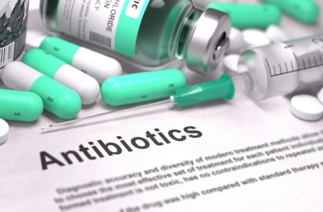Учитывая сильную устойчивость синегнойной палочки к антибиотикам, выбор препарата для терапии производится на основании лабораторного исследования чувствительности выделенного возбудителя к антибиотикам