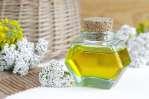 Настойка тысячелистника эффективна при кишечных спазмах, импотенции и стенокардии Настойка тысячелистника эффективна при кишечных спазмах, импотенции и стенокардии