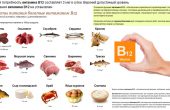 Витамин B12 – почему он необходим организму? В каких продуктах содержится Б12 и как восполнить недостаток?
