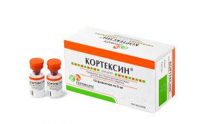 Кортексин улучшает процесс обмена веществ в структурах головного мозга, и за счет этого оказывает церебропротективное, ноотропное, противосудорожное и антиоксидантное действие на ЦНС Кортексин улучшает процесс обмена веществ в структурах головного мозга, и за счет этого оказывает церебропротективное, ноотропное, противосудорожное и антиоксидантное действие на ЦНС