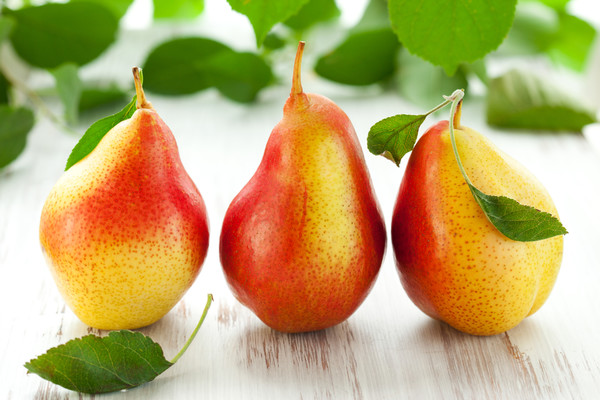Груша – один из наиболее известных, после яблок, фруктов. Первые упоминания о грушах были замечены еще в древнегреческой мифологии, когда в «Одисcее» Гомер описал превосходные плоды, которые росли в саду персидского царя