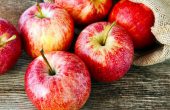 Яблоки – польза и вред для организма, рецепты народной медицины