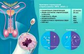 Спермограмма в Москве
