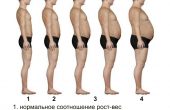 Абдоминальное ожирение, – какой диеты следует придерживаться женщинам и мужчинам?