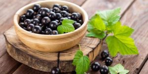 Черная смородина - настоящий кладезь витаминов и жизненно важных микроэлементов 