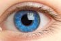 Глаукома. Как вовремя увидеть и вылечить глаукому? Симптомы и современные методы лечения