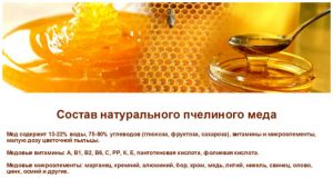 Мед - это уникальный продукт биологического происхождения, он содержит в себе очень полезные активные вещества, которые способствуют укреплению иммунитета Мед - это уникальный продукт биологического происхождения, он содержит в себе очень полезные активные вещества, которые способствуют укреплению иммунитета