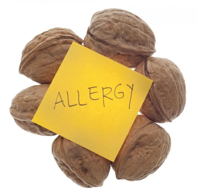 Аллергическая реакция может появиться на любой химический компонент грецкого ореха. Проявления симптомов аллергии индивидуальны. Если вы ощутили недомогание после употребления грецких орехов, то прекратите их есть, примите антигистаминный препарат и обратитесь к аллергологу
