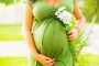 Норма ХГЧ при беременности – что определяет анализ? Таблица норм ХГЧ и расшифровка результатов