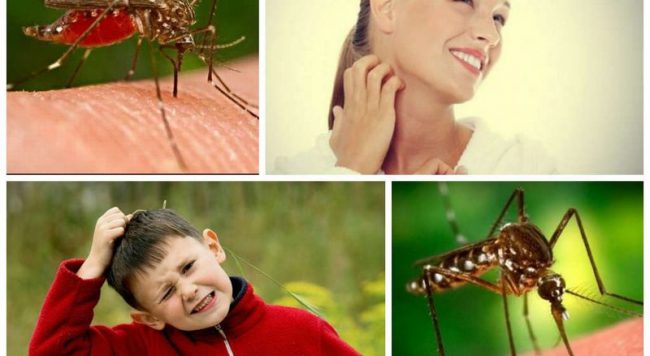 Мошки и комары недолюбливают желтый цвет – если правильно подобрать одежду, это может уберечь от внимания насекомых