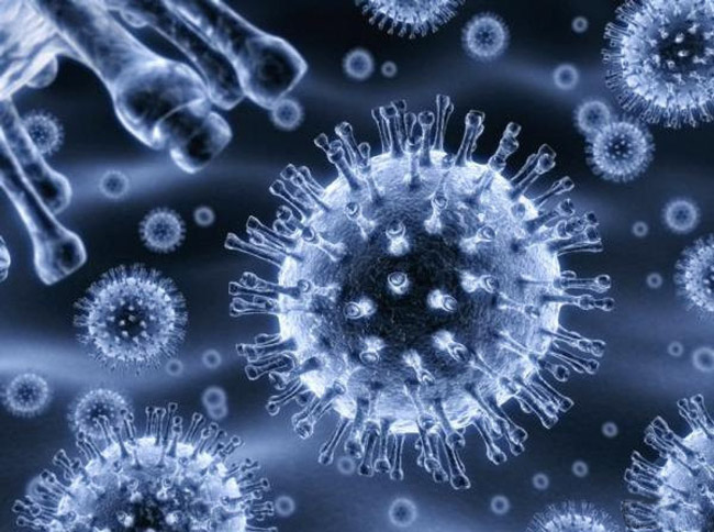 У клеток вируса, повышенная устойчивость в холодные времена года