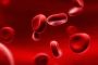 Повышение лимфоцитов в крови у женщины — норма или патология?