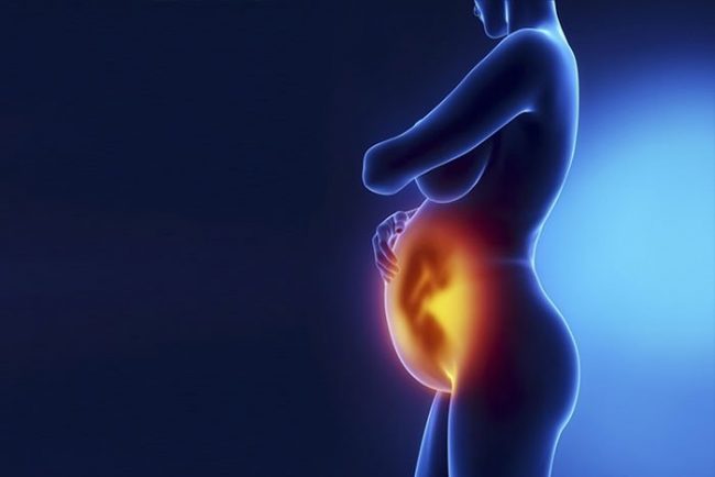 Хорион – это внешняя зародышевая оболочка, которая окружает эмбрион и образуется на начальных сроках гестационного срока, являясь предшественницей плаценты