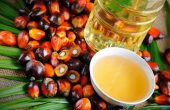 Пальмовое масло — вред и польза для организма, содержание в продуктах