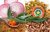 Клиника услуги – тестовая