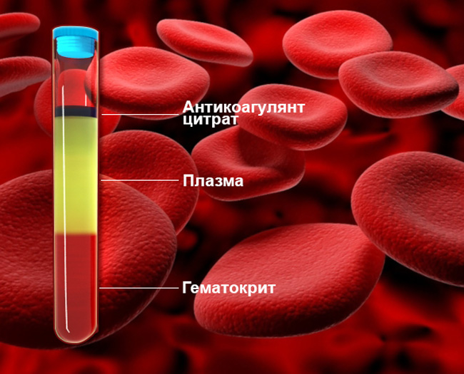 Гематокрит – часть от общего объема крови, которая приходится на эритроциты. Повышенный гематокрит в крови может быть свидетельством патологических процессов, происходящих в организме