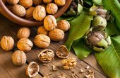 Грецкие орехи — польза и вред для организма. Лечебные свойства и рецепты
