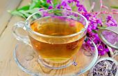 Иван-чай – вкусный напиток от всех недугов. Полезные свойства и показания к применению