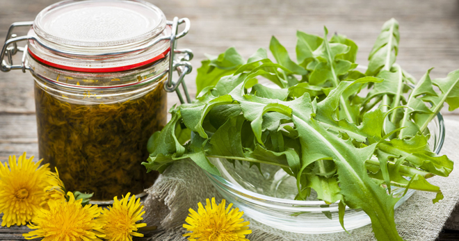 Варенье из одуванчиков поможет очистить организм от токсинов, улучшить состояние кожи, нормализовать аппетит и обменные процессы