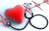 Синусовая брадикардия сердца – что это такое? Причины заболевания, симптомы и методы лечения