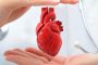 Что такое шунтирование сердца – суть операции, этапы проведения, последствия